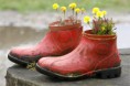 /album/fotogalerie/fruhlingsstiefel-jpg/
